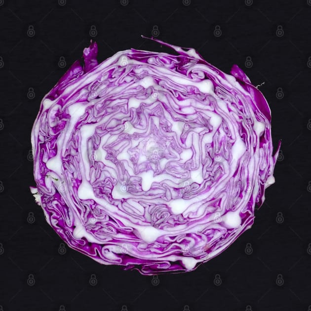 Purple cabble cabbage by Made the Cut